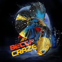 bettacraze